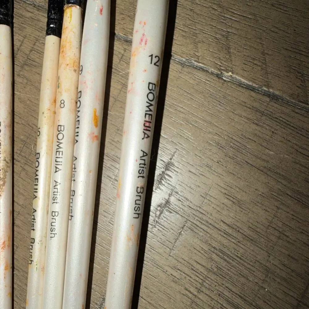 Bomeija Professional Watercolor Paint Brush Set 6 Pcs Slant Flat Well Loved Used